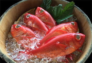 波魚波外観写真1
